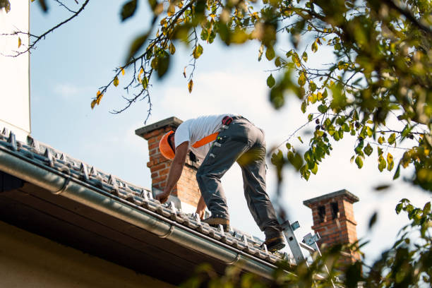 Best Residential Roof Replacement  in Franklinville, NJ