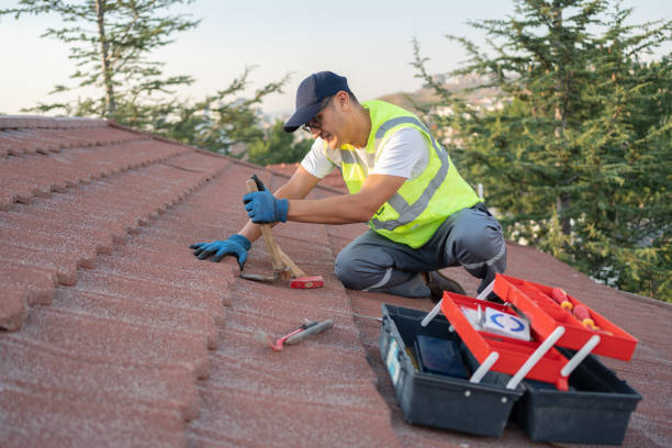 Best Roofing Contractor Near Me  in Franklinville, NJ