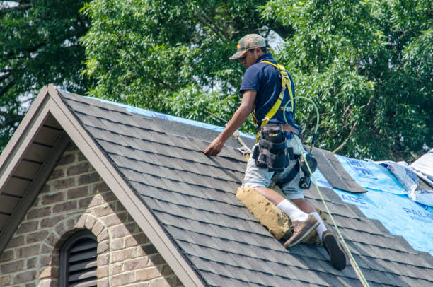 Best Roof Maintenance Services  in Franklinville, NJ